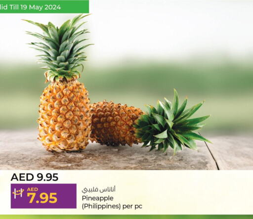  Pineapple  in Lulu Hypermarket in UAE - Dubai