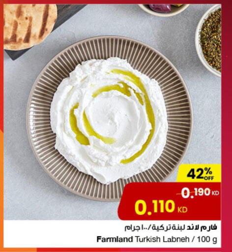  Labneh  in The Sultan Center in Kuwait - Ahmadi Governorate