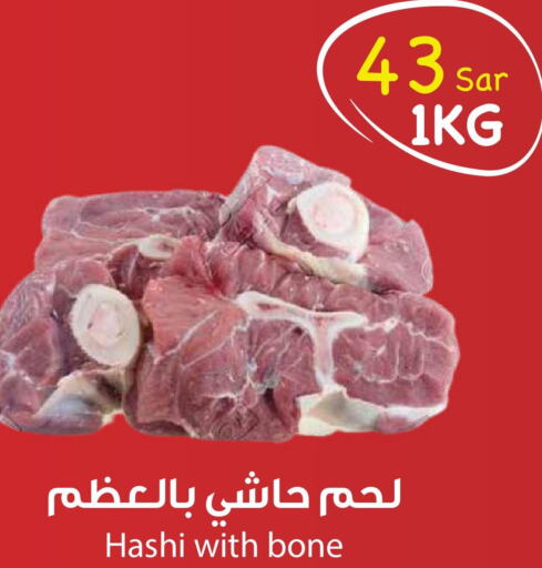  Camel meat  in Consumer Oasis in KSA, Saudi Arabia, Saudi - Riyadh