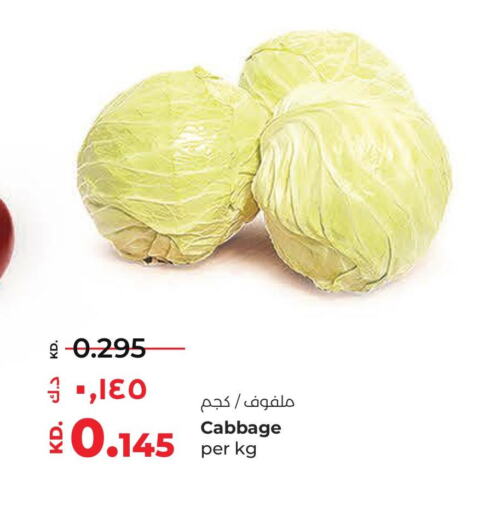  Cabbage  in لولو هايبر ماركت in الكويت - محافظة الجهراء