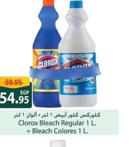 CLOROX Bleach  in Spinneys  in Egypt - Cairo