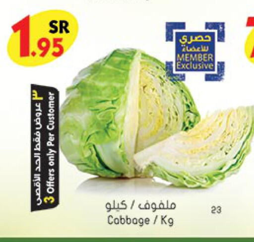  Cabbage  in Bin Dawood in KSA, Saudi Arabia, Saudi - Ta'if