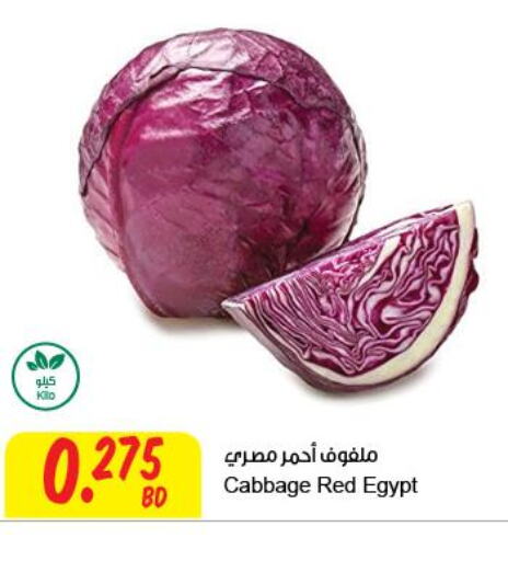  Cabbage  in مركز سلطان in البحرين