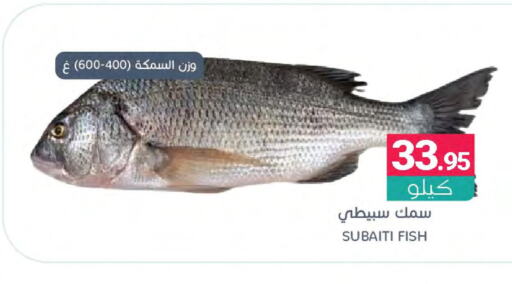  King Fish  in اسواق المنتزه in مملكة العربية السعودية, السعودية, سعودية - المنطقة الشرقية