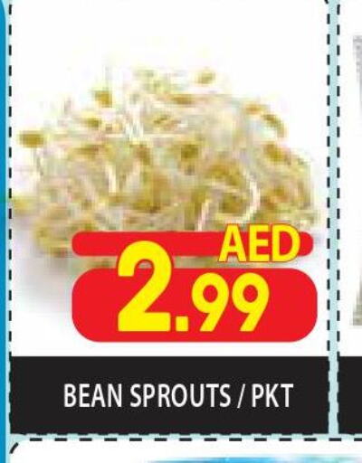  Sardines - Canned  in سوبرماركت هوم فريش ذ.م.م in الإمارات العربية المتحدة , الامارات - أبو ظبي
