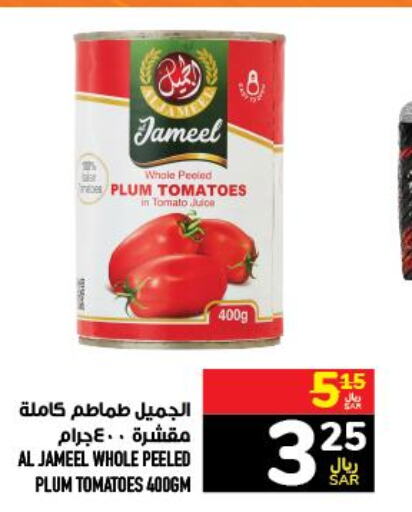 HALEY Tomato Paste  in أبراج هايبر ماركت in مملكة العربية السعودية, السعودية, سعودية - مكة المكرمة