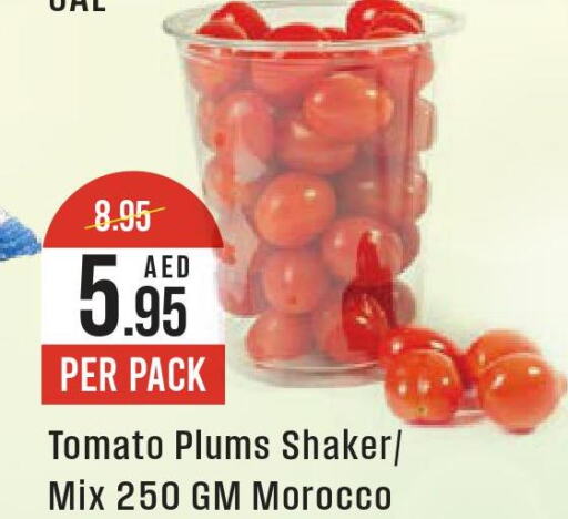  Tomato  in ويست زون سوبرماركت in الإمارات العربية المتحدة , الامارات - أبو ظبي