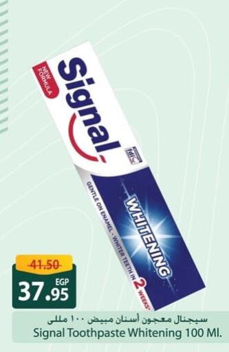 SIGNAL Toothpaste  in سبينس in Egypt - القاهرة