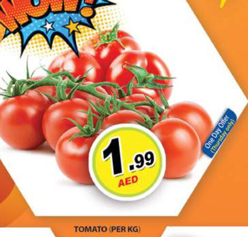  Tomato  in جلف هايبرماركت ذ.م.م in الإمارات العربية المتحدة , الامارات - رَأْس ٱلْخَيْمَة