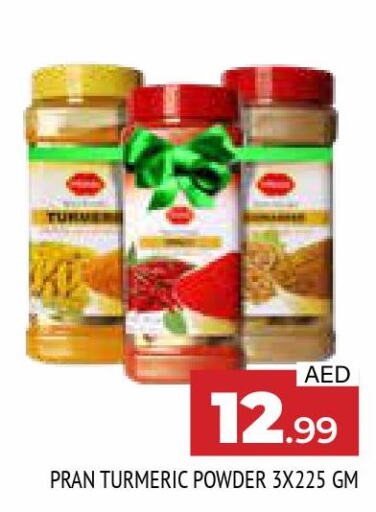 PRAN Spices / Masala  in AL MADINA in UAE - Sharjah / Ajman