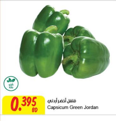  Chilli / Capsicum  in مركز سلطان in البحرين