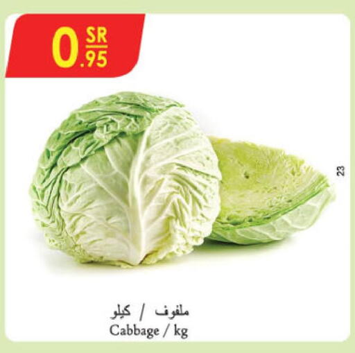  Cabbage  in الدانوب in مملكة العربية السعودية, السعودية, سعودية - بريدة