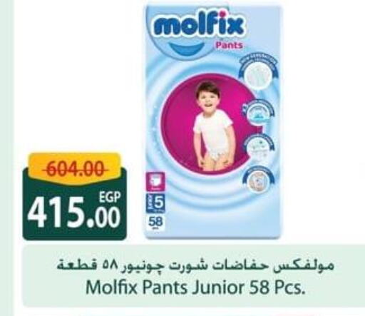 MOLFIX   in Spinneys  in Egypt - Cairo