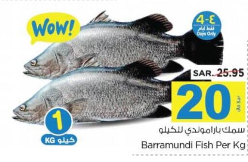  Tuna  in Nesto in KSA, Saudi Arabia, Saudi - Al Hasa