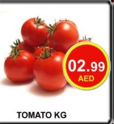  Tomato  in كاريون هايبرماركت in الإمارات العربية المتحدة , الامارات - أبو ظبي