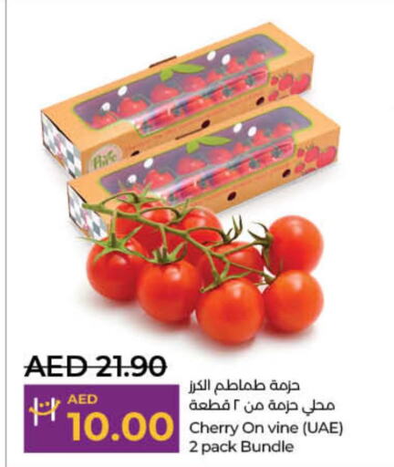  Tomato  in لولو هايبرماركت in الإمارات العربية المتحدة , الامارات - أم القيوين‎