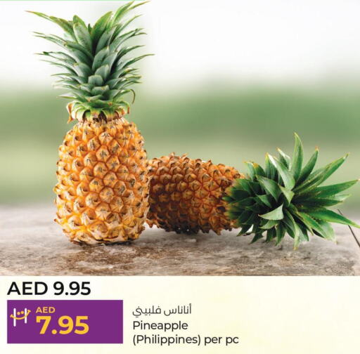  Pineapple  in Lulu Hypermarket in UAE - Al Ain