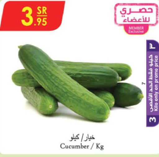  Cucumber  in الدانوب in مملكة العربية السعودية, السعودية, سعودية - خميس مشيط