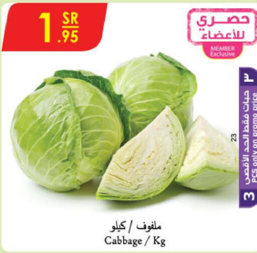  Cabbage  in Danube in KSA, Saudi Arabia, Saudi - Khamis Mushait