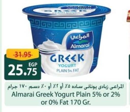 ALMARAI Greek Yoghurt  in Spinneys  in Egypt - Cairo