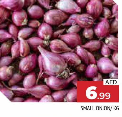  Onion  in AL MADINA in UAE - Sharjah / Ajman