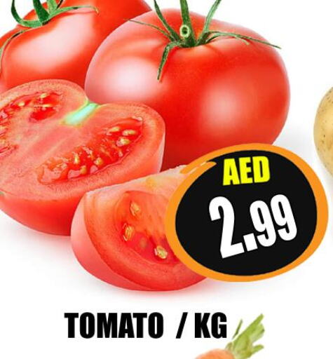  Tomato  in Majestic Plus Hypermarket in UAE - Abu Dhabi