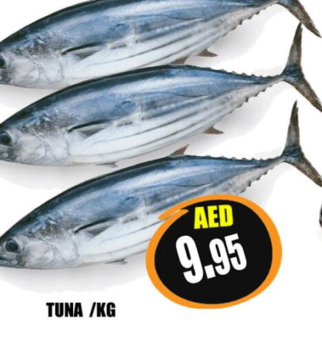  Tuna  in هايبرماركت مجستك بلس in الإمارات العربية المتحدة , الامارات - أبو ظبي