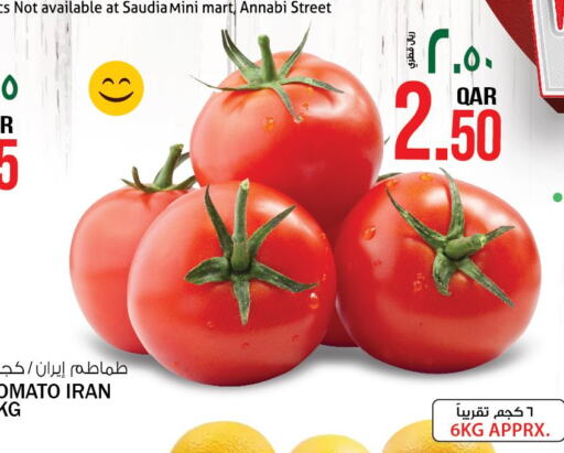  Tomato  in السعودية in قطر - الدوحة
