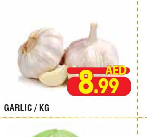  Garlic  in Home Fresh Supermarket in UAE - Abu Dhabi