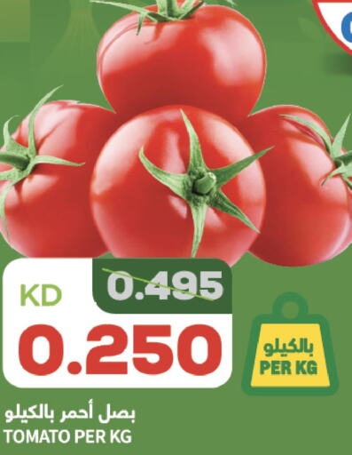  Tomato  in أونكوست in الكويت - مدينة الكويت
