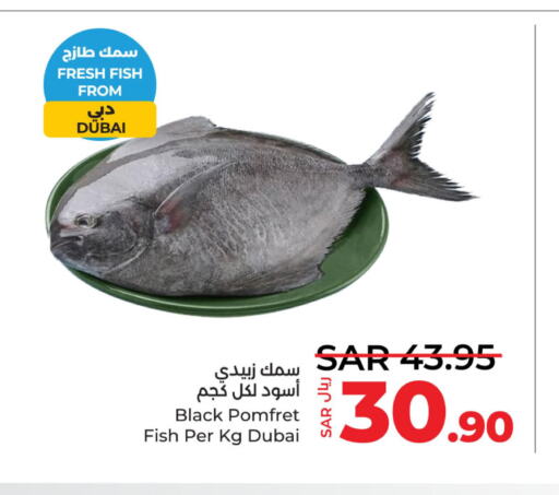  Tuna  in LULU Hypermarket in KSA, Saudi Arabia, Saudi - Hafar Al Batin