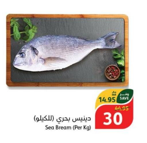  King Fish  in هايبر بنده in مملكة العربية السعودية, السعودية, سعودية - المدينة المنورة