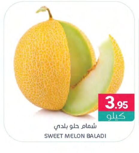  Sweet melon  in اسواق المنتزه in مملكة العربية السعودية, السعودية, سعودية - القطيف‎