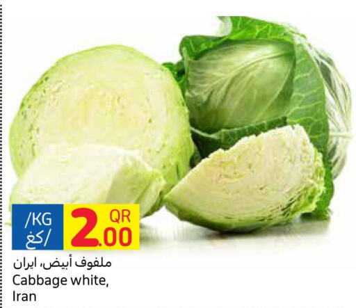  Cabbage  in Carrefour in Qatar - Al Shamal