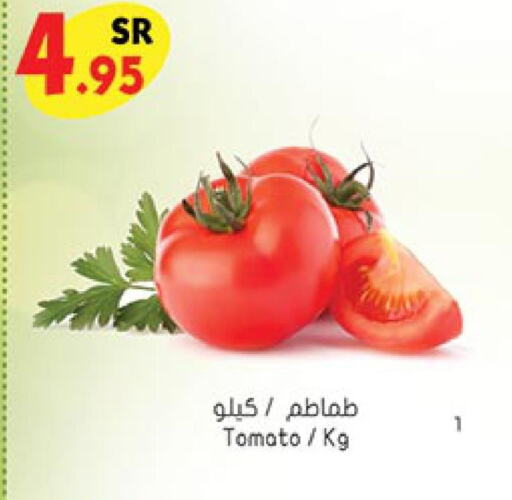  Tomato  in بن داود in مملكة العربية السعودية, السعودية, سعودية - أبها