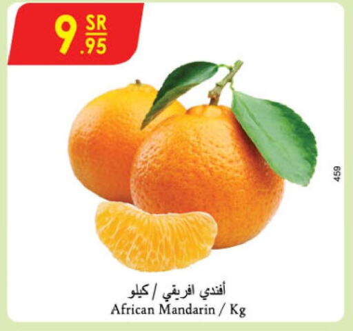  Orange  in Danube in KSA, Saudi Arabia, Saudi - Ta'if