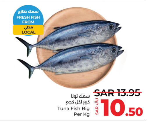  Tuna  in لولو هايبرماركت in مملكة العربية السعودية, السعودية, سعودية - الجبيل‎
