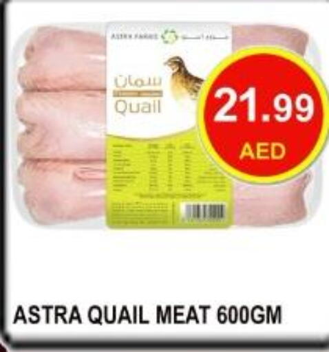  Mutton / Lamb  in كاريون هايبرماركت in الإمارات العربية المتحدة , الامارات - أبو ظبي