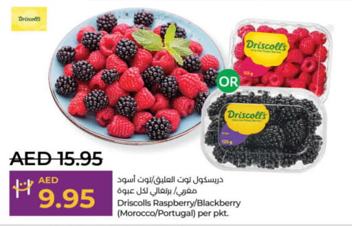  Berries  in لولو هايبرماركت in الإمارات العربية المتحدة , الامارات - ٱلْفُجَيْرَة‎