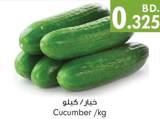  Cucumber  in بحرين برايد in البحرين