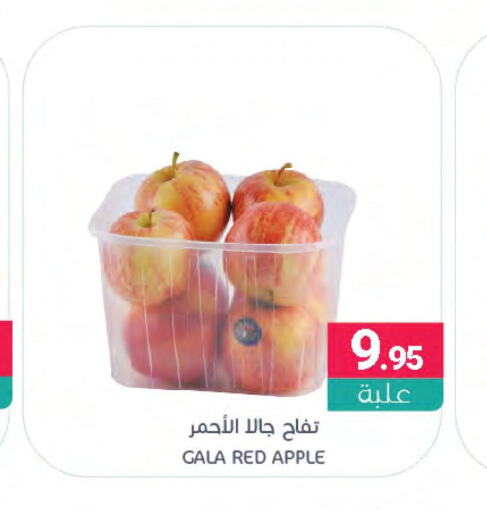  Apples  in Muntazah Markets in KSA, Saudi Arabia, Saudi - Dammam