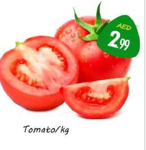  Tomato  in سوق المبارك هايبرماركت in الإمارات العربية المتحدة , الامارات - الشارقة / عجمان