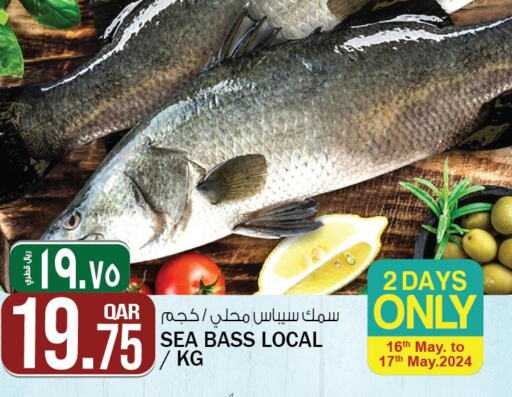  in Saudia Hypermarket in Qatar - Al Shamal