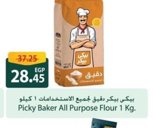  All Purpose Flour  in سبينس in Egypt - القاهرة