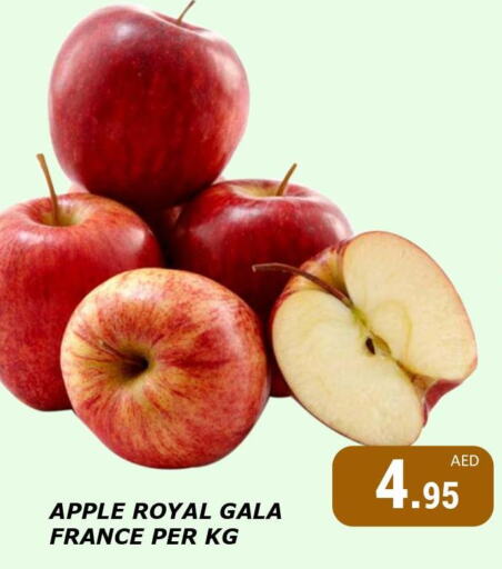  Apples  in كيرالا هايبرماركت in الإمارات العربية المتحدة , الامارات - رَأْس ٱلْخَيْمَة