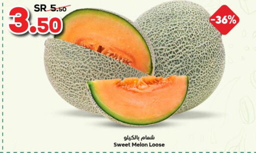  Sweet melon  in Dukan in KSA, Saudi Arabia, Saudi - Ta'if