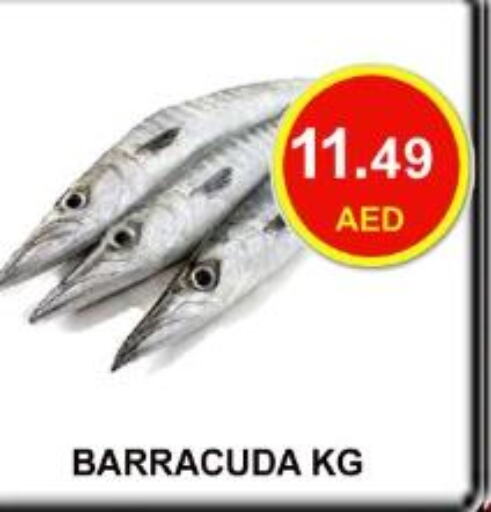  King Fish  in Carryone Hypermarket in UAE - Abu Dhabi