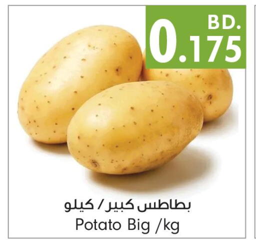  Potato  in بحرين برايد in البحرين