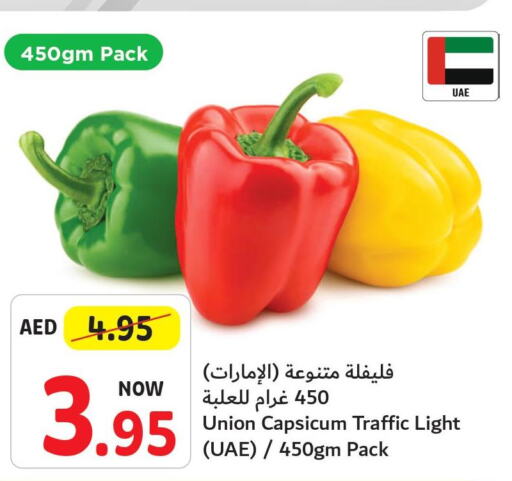  Chilli / Capsicum  in Umm Al Quwain Coop in UAE - Umm al Quwain