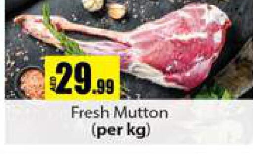  Mutton / Lamb  in Gulf Hypermarket LLC in UAE - Ras al Khaimah